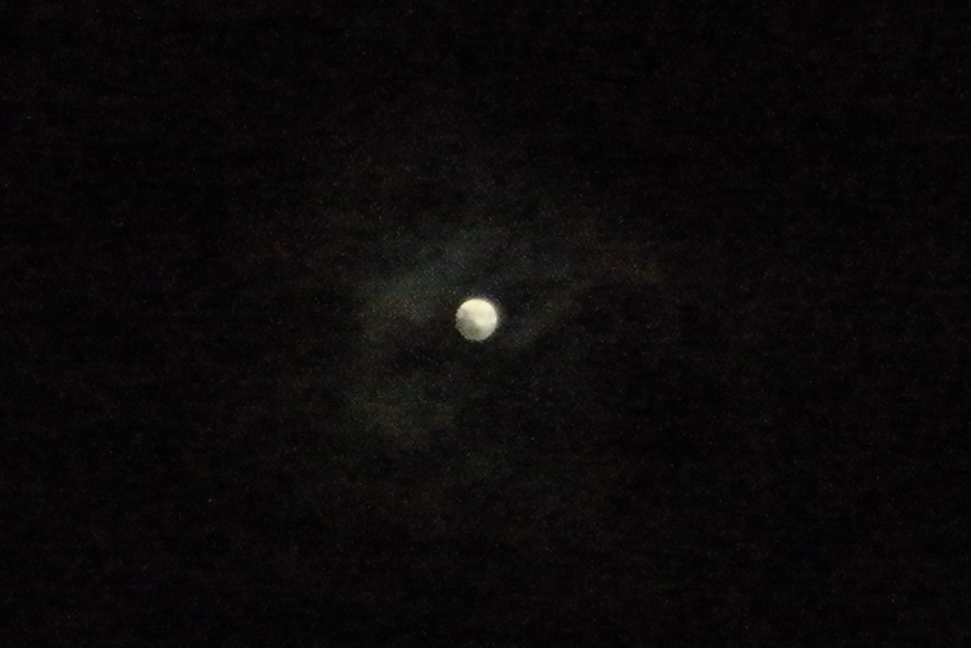 Meeting With Aliens, Alien Face Moon